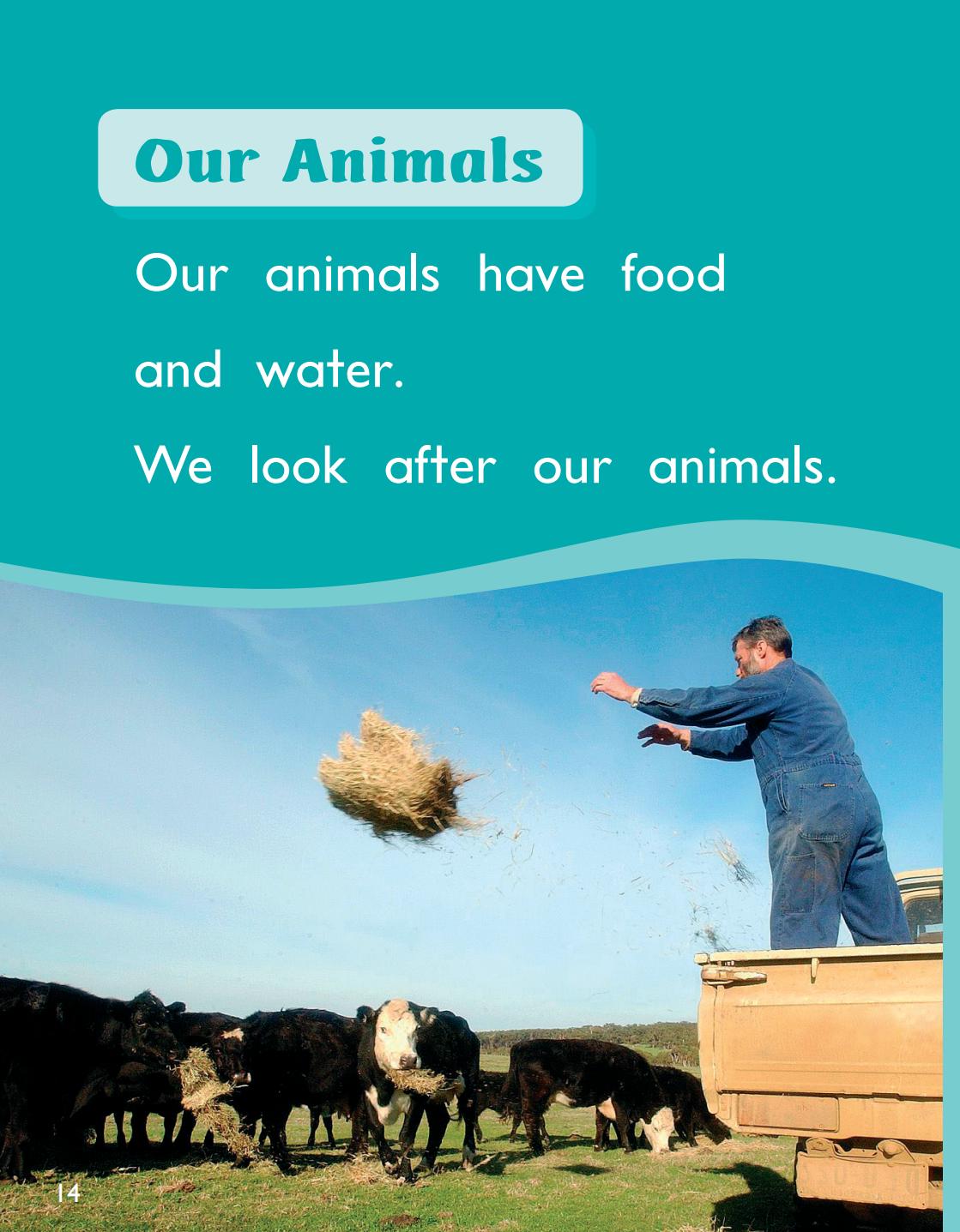 123976_PM_SCI_AnimalsonOurFarm_txt_13.jpg