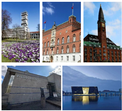 屏幕截图 2024-12-09 131334.png